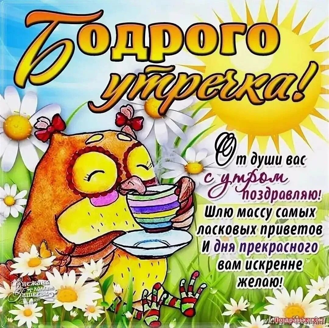 Открытки доброе утро прикольные с юмором. Открытки с добрым утром прикольные. Поздравления с добрым утром прикольные. Пожелания доброго утра прикольные. Смешные пожелания с добрым утром.