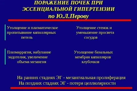 Гипертензия почек