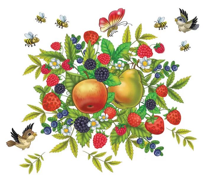 Сокол для ягодки. Ягоды иллюстрация. Ягоды рисунок. Летние фрукты рисунки. Летние ягоды рисунок.