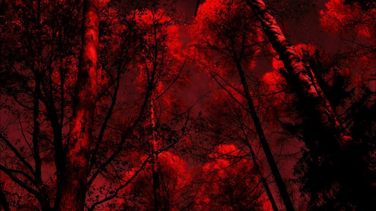 Hell tree