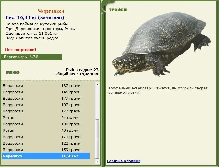 Сколько весят морских черепах. Среднеюрские черепахи. Большая морская черепаха. Вес черепахи. Сколько весят морских черепах.