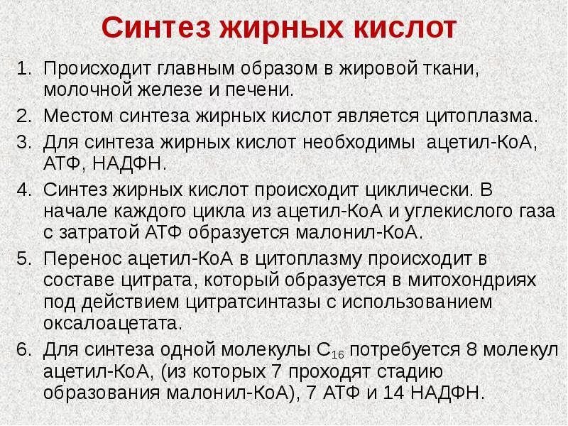 Синтез жиров происходит. Синтез жирных кислот. Синтез жирных кислот и жира.. Для синтеза жирных кислот необходимы. Синтез жирных кислот осуществляется в.