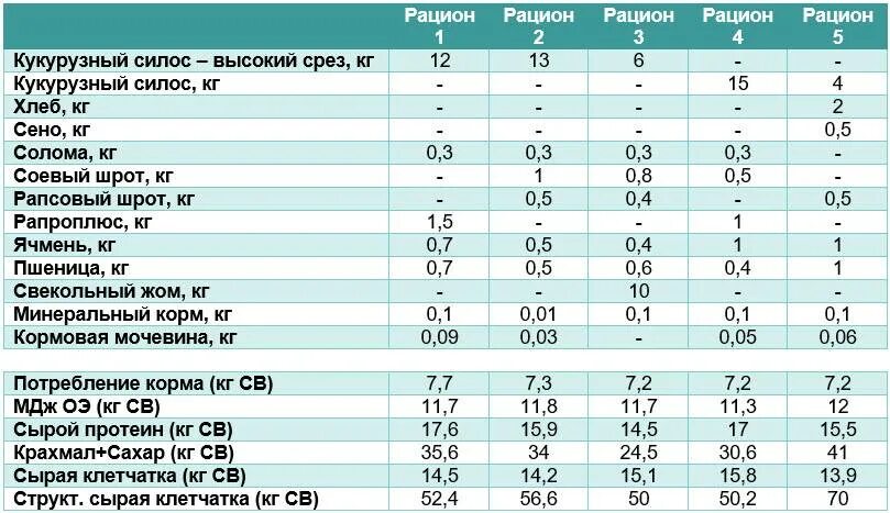 Таблица кормления КРС на откорме. Рацион кормления Бычков от 2 месяцев. Рацион комбикорма для Бычков. Рацион кормов для Бычков на откорме.