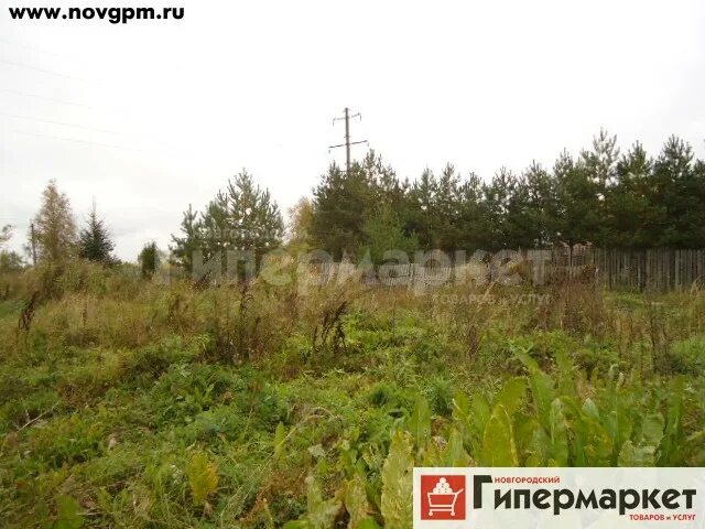 Участок за 100 тысяч. 96 гектаров фото. Дачный участок 1 гектар. Тюнеж тульская область. 1 гектар поля.
