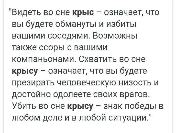 Видеть нападение. Сонник крысы к чему снятся. Крыса во сне к чему снится. К чему во сне видеть крысу. Что значит видеть во сне крысу.