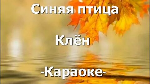 Караоке там где клен шумит над речной