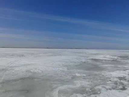 Озеро сартлан новосибирская область