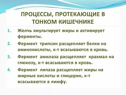 Какие процессы происходят в речи