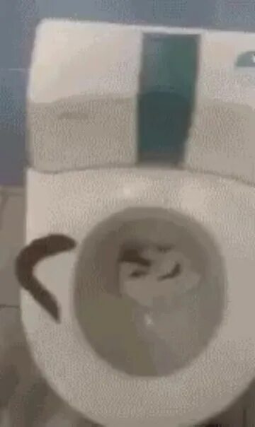 Подо мной турбированный. Турбированный демон кузов цвета веном. Джимбо мем. Подо мной турбированный. Подомной турбированный демон кузов цвета веном.