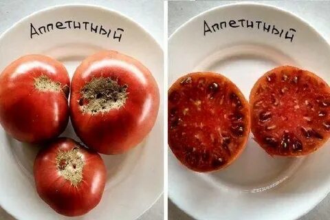 Томат аппетитный фото
