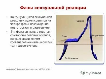 Если парень возбудился