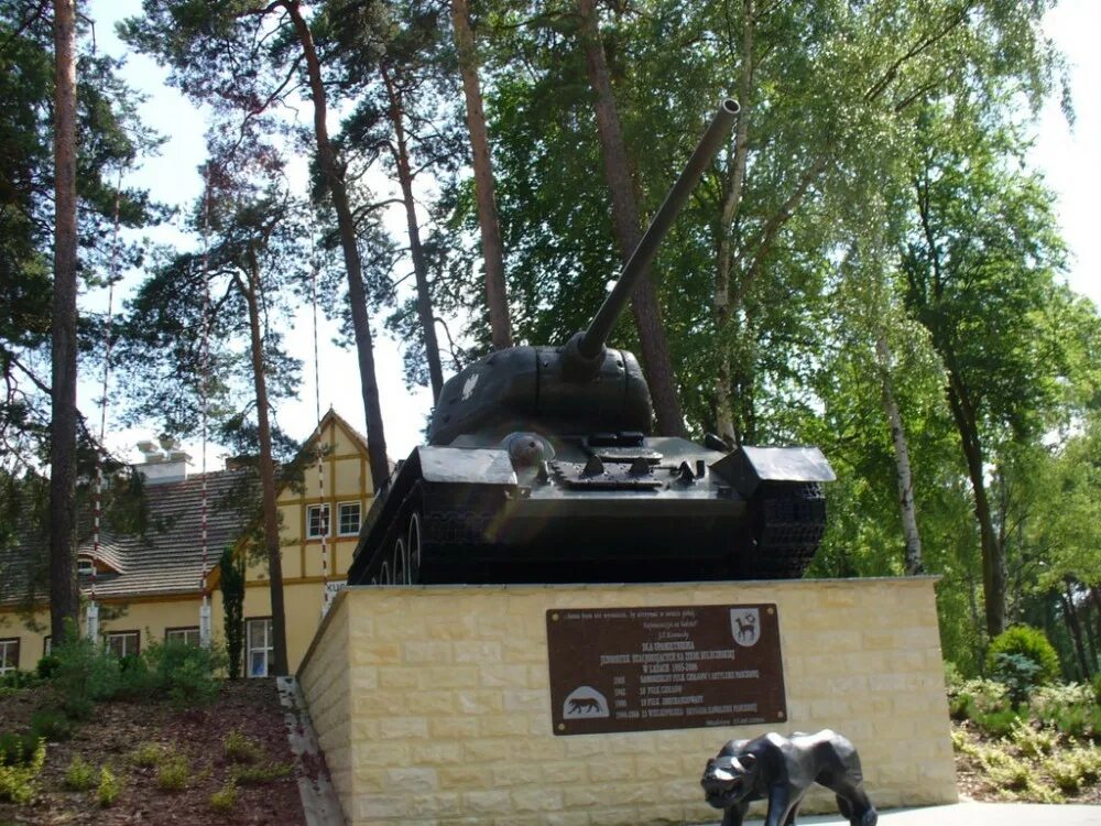 Памятник на территории воинской части. Танк в Карелии. Кострома памятник танк за Волгой. Танк в Карелии из камня. 218 танковый