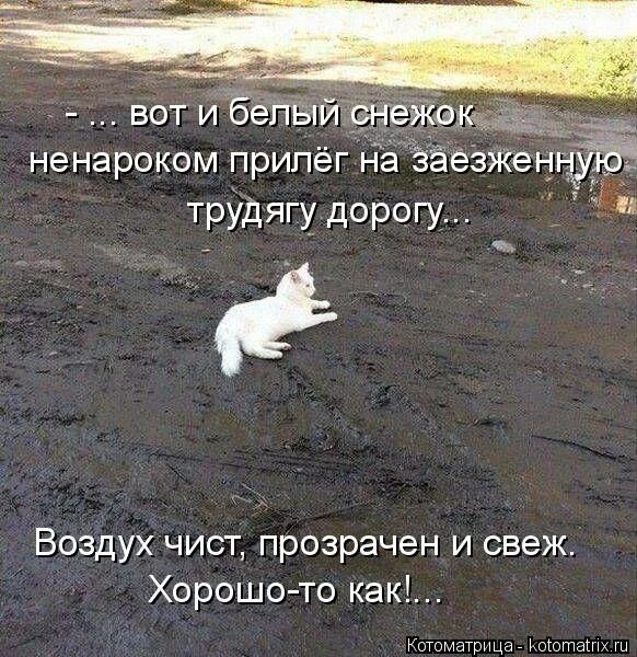 Чудесное время года весна чист и прозрачен воздух. Воздух чист и свеж как поцелуй ребенка. Продолжи воздух был чист и прозрачен. Воздух был чист и прозрачен. Чистый воздух и человек.