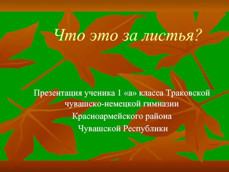 Презентация что это за листья. Лист для презентации. Презентация для 1 класса по теме что это за лист. Презентация что это за листья 1 класс. Анализ рассказа листья