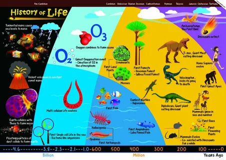 Life on earth