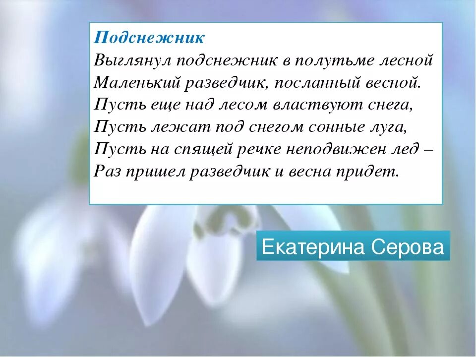 Бунин Подснежник краткое содержание. Рассказ Бунина Подснежник.