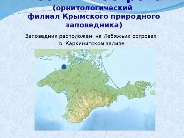 Лебяжьи острова в крыму где находится Гнездование Чегравы на территории ГПЗ "Лебяжьи острова".