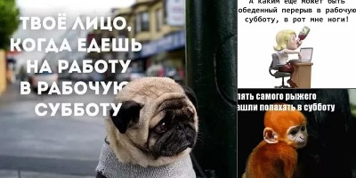 рабочая суббота картинки