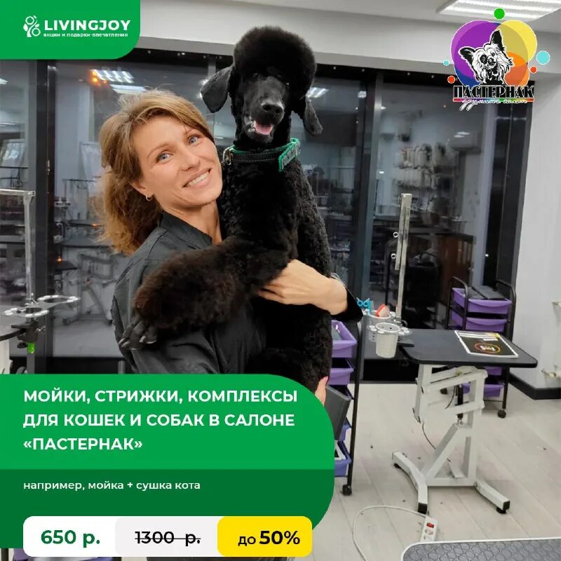 ливинг джой