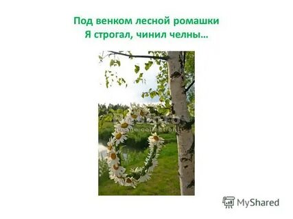 Я навек за туманы и росы полюбил