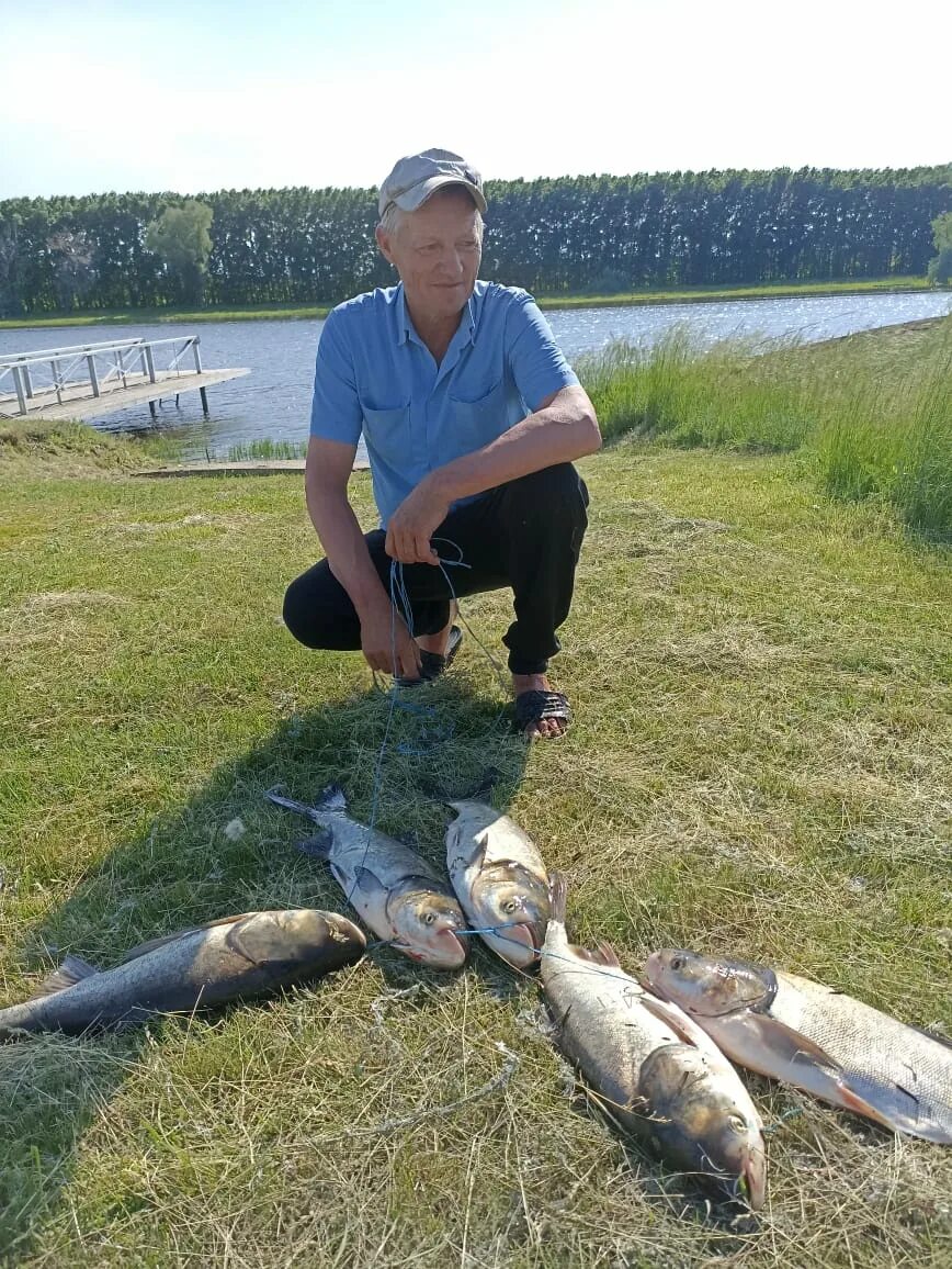 Озеро лютце платная. Платный форелевый пруд нижегородская область. Вести с платных прудов. Рыбалка платная минская область. Вести с платных прудов.