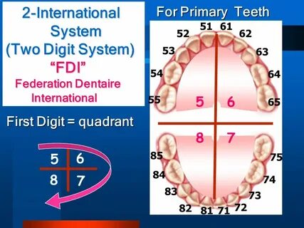 International numbering