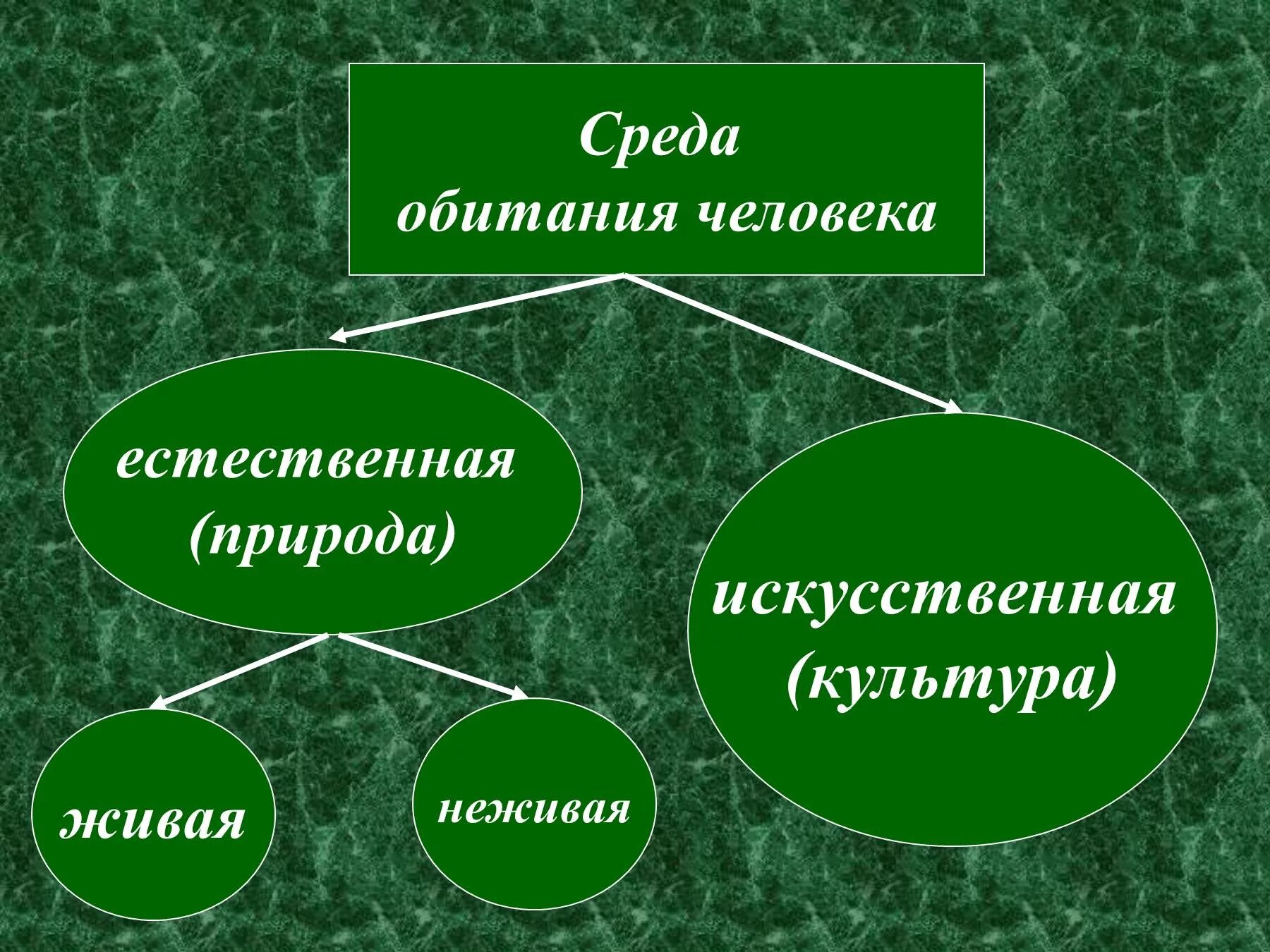 Природа естественная среда обитания человека