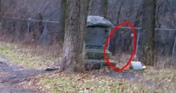 существуют ли аномалии