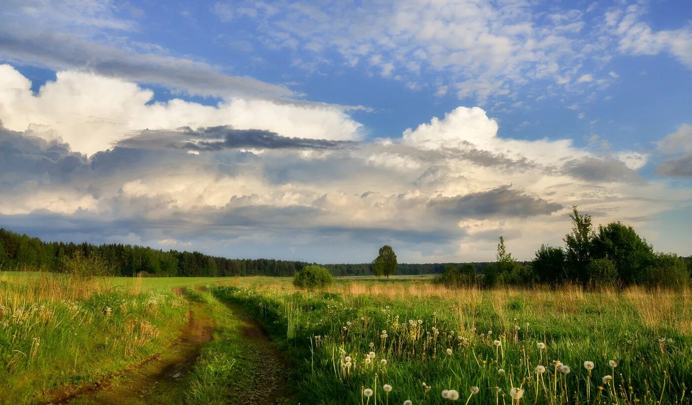 З родной. Пейзажи Беларуси. Родные просторы природа родного села. Белорусский пейзаж. Просторы Белоруссии.