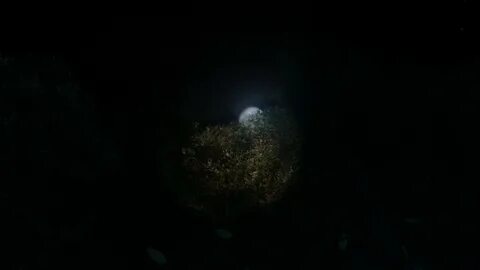 It s dark