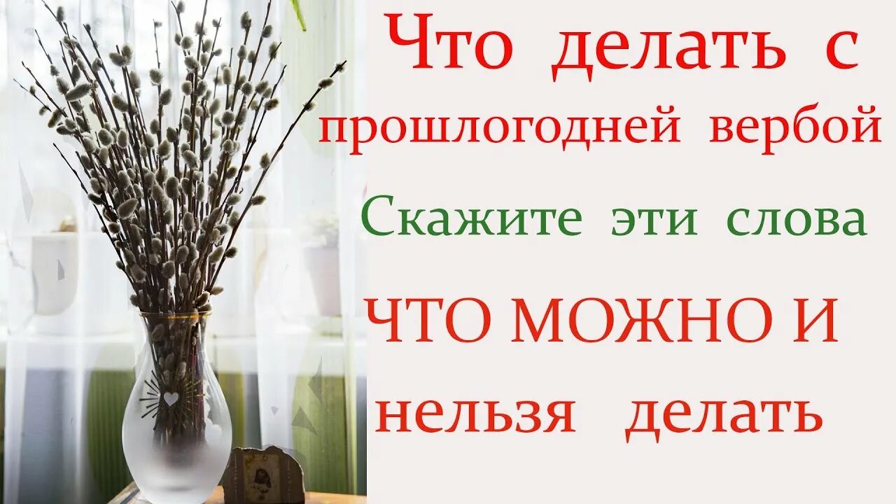 Что надо делать в воскресенье. Вербное воскресенье что нельзя делать. Чего нельзя делать в Вербное воскресенье. Что нельзя делать в Вербное воскресенье 2021. Что делать с прошлогодней вербой.