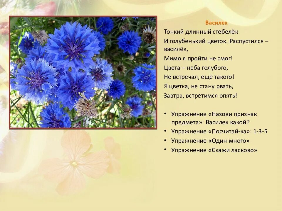 Написать васильков. Васильки описание. Василек описание. Стих про Василек. Стихотворение о цветах.
