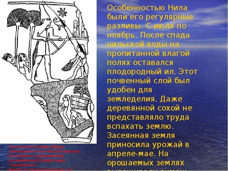 История 5 класс полностью