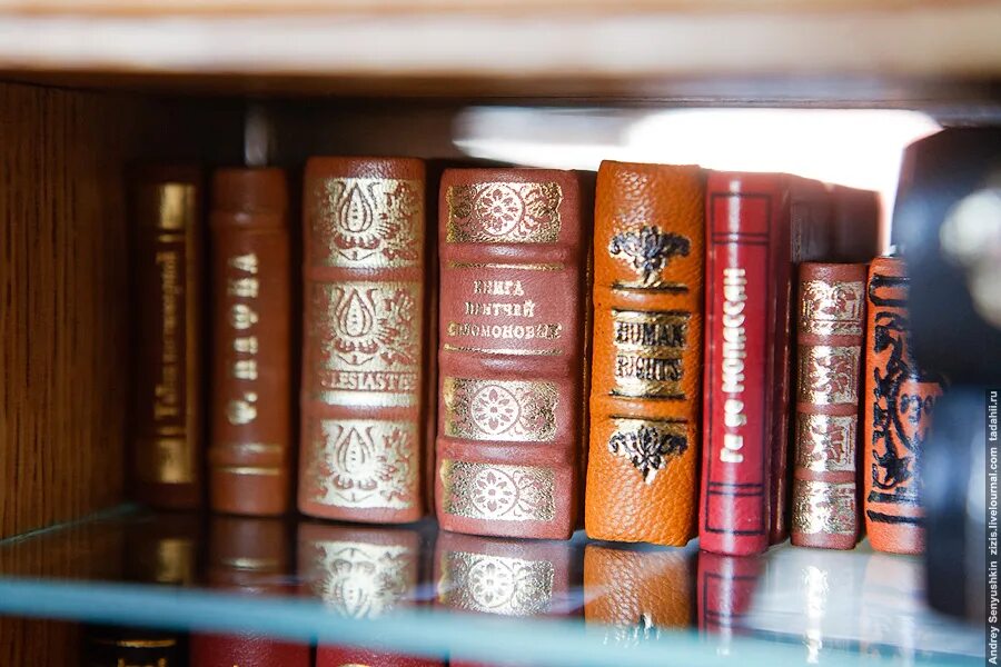 обложки книг фэнтези. фотосессия с книгой. пратчетт т. джон апдайк книги. книга о любви.