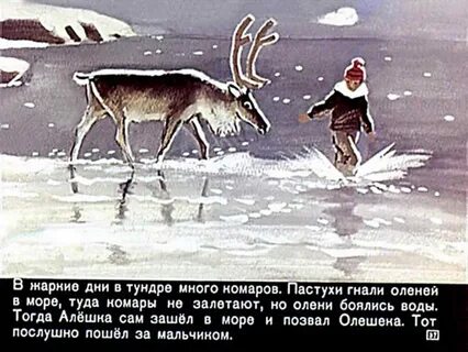 Алешка год
