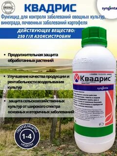 Квадрис на 10 литров