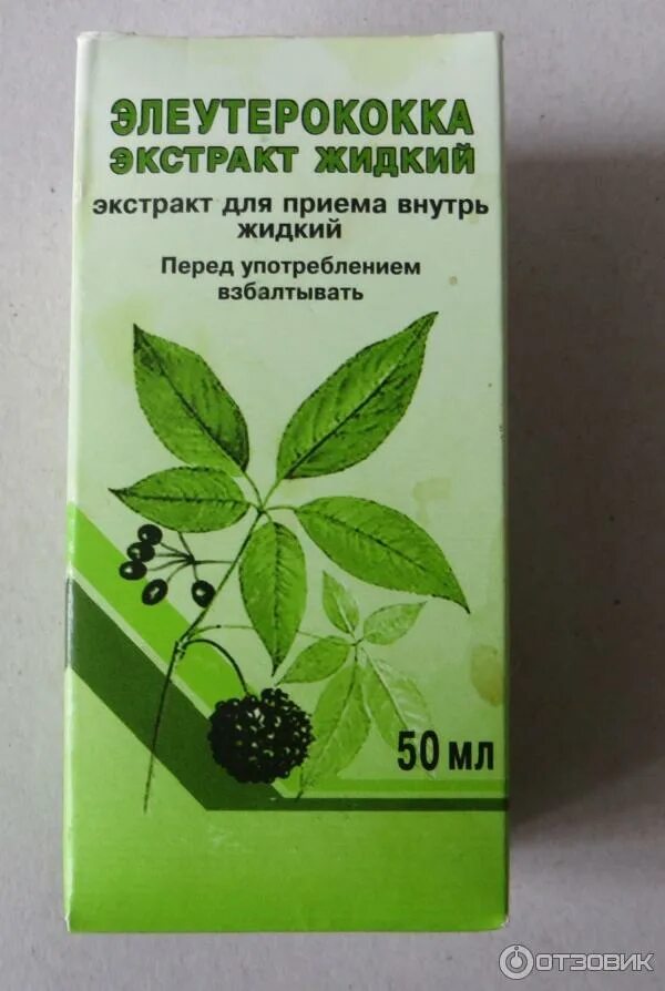 Элеутерококк инструкция по применению взрослым. Элеутерококка экстракт жидкий экстракт. элеутерококк экстракт вифитех. капли элеутерококка экстракт жидкий. элеутерококк растение.