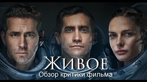 Человечество 2017
