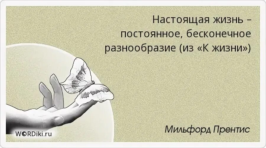 Настоящая жизнь это