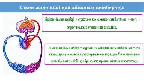 Түрік мұсылмандық порно