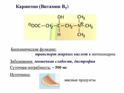 Карнитин где содержится в продуктах