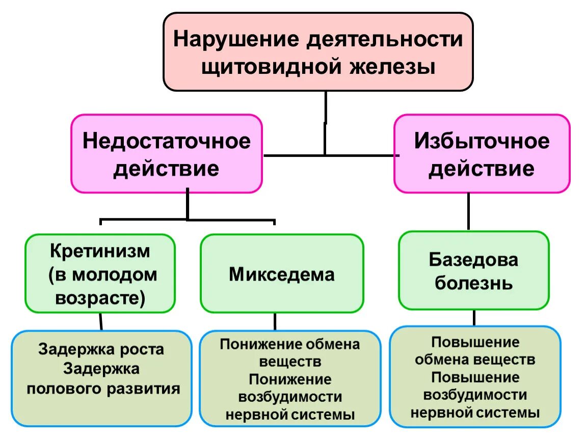 Нарушение деятельности щитовидной железы. Нарушение функции щитовидной железы. Болезни при нарушении функции щитовидной железы. Причины и механизмы нарушения функций щитовидной железы.