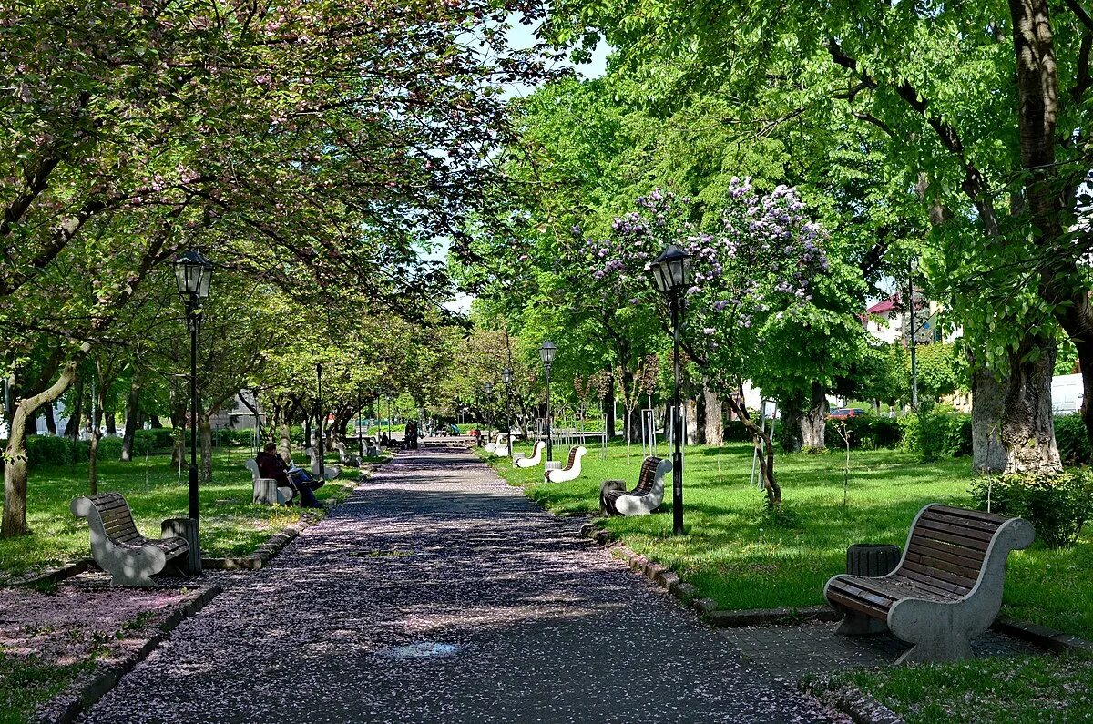Сквер бунина и соломенцева елец. Сквер м. Сквер м. Сквер м. Сквер м.