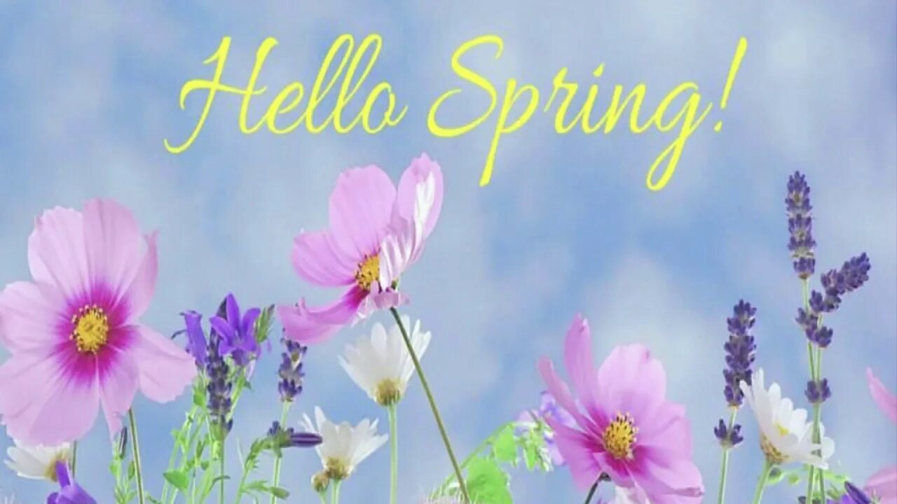 Import spring. Spring картинки. Hello Spring надпись. Постеры hello Spring. Hello Spring картинки на рабочий стол.