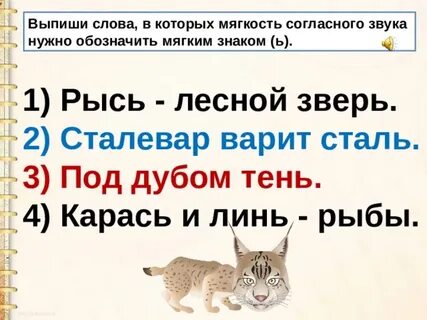 Рысь сколько букв и звуков