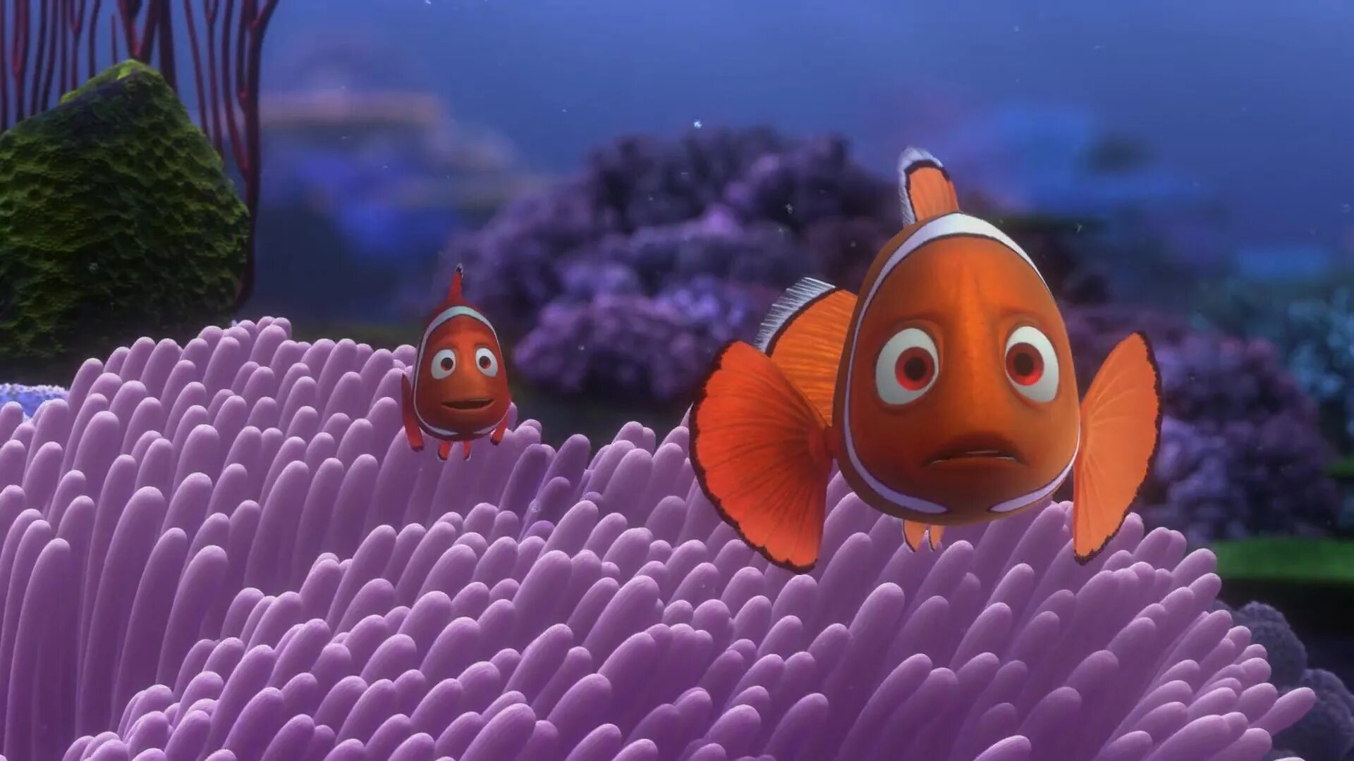 В поисках немо (finding nemo), 2003. В поисках немо мультфильм 2003. В поисках немо 3. В поисках немо finding nemo. Немо мультик.