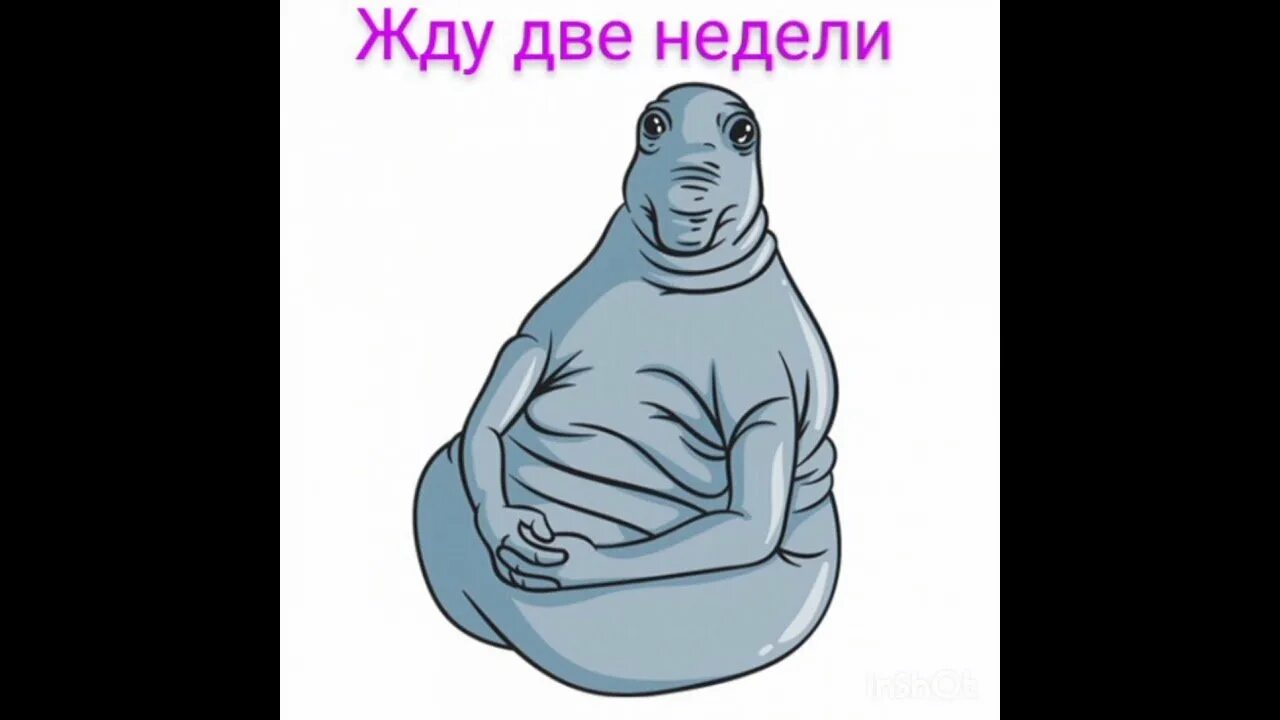 Сижу жду запятая. Стикер ждуна. скелет ждуна. ждун с днем рождения. ждун скелет.