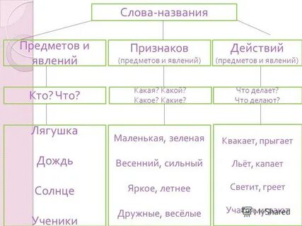 Примеры форм и классов слов