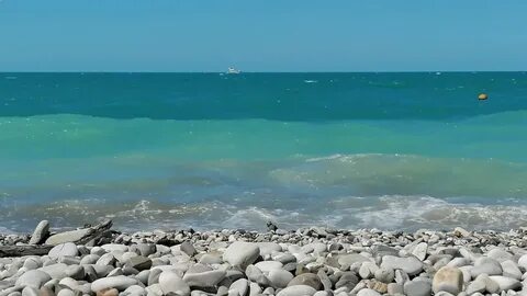 Ротавирус на черном море