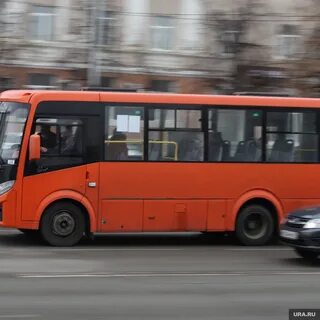 51 автобус курган